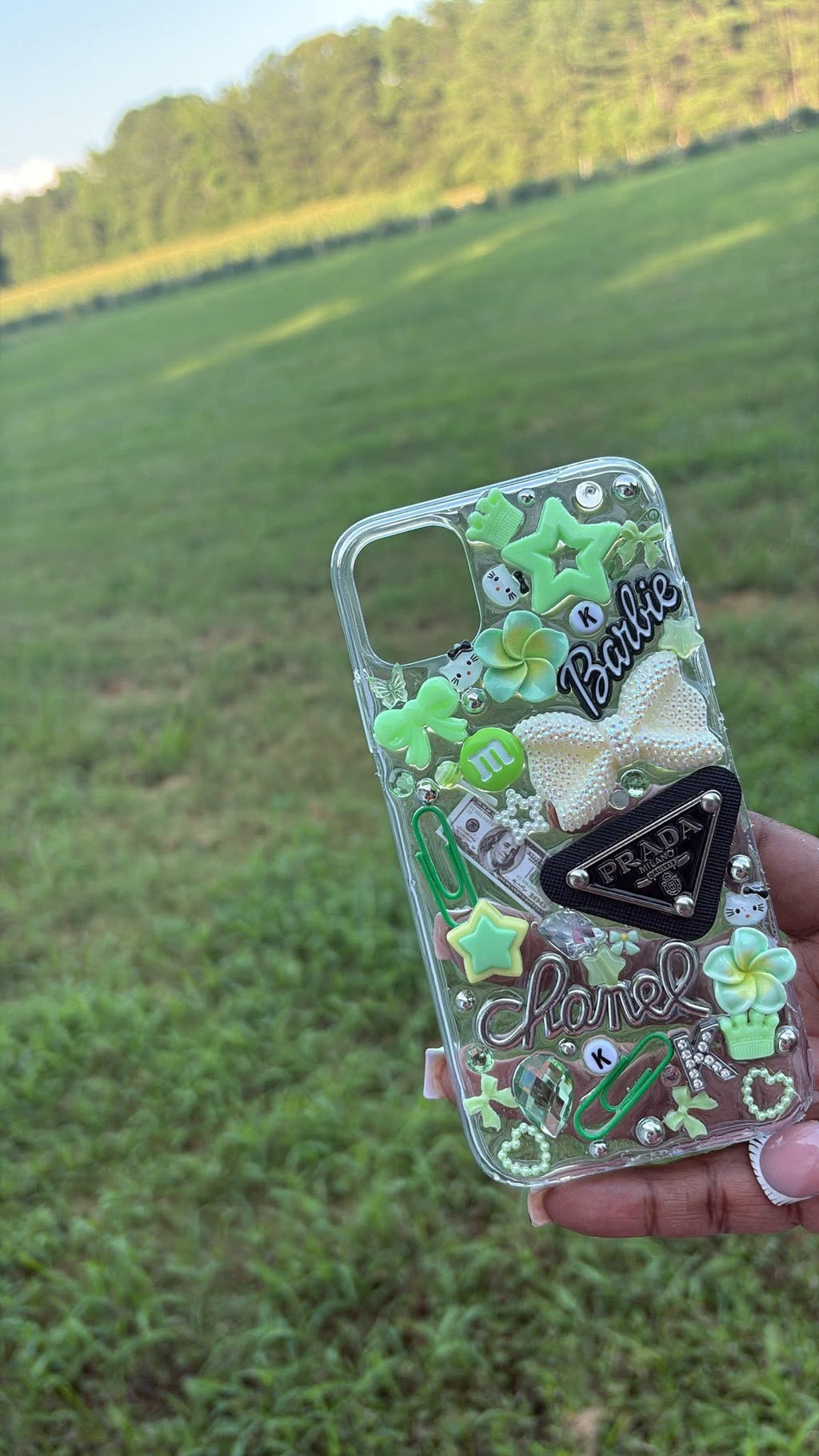 Regular Junk Case
